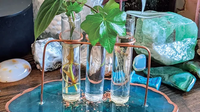 Image: A propagation station helps make the plant rooting process prettier